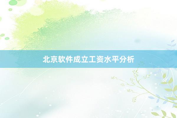 北京软件成立工资水平分析