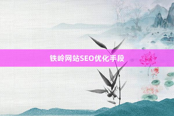 铁岭网站SEO优化手段